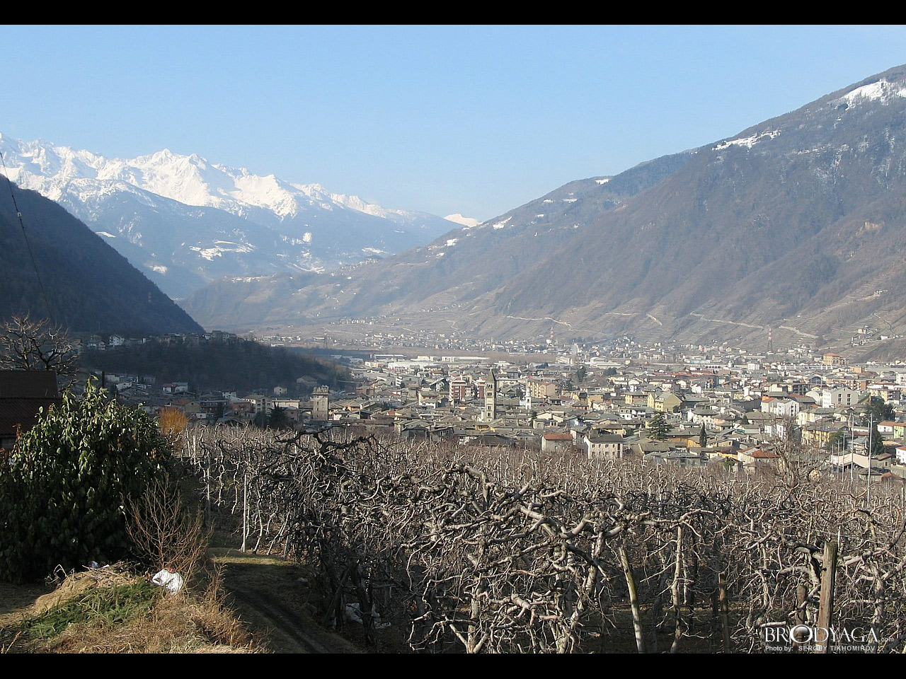 Tirano